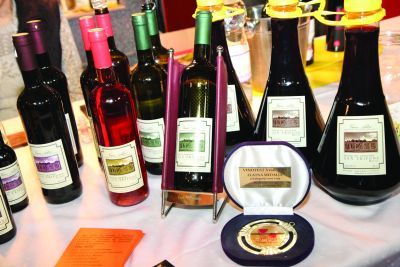 Ravangrad Wine Fest: Vino, hrana i dobar ugođaj  